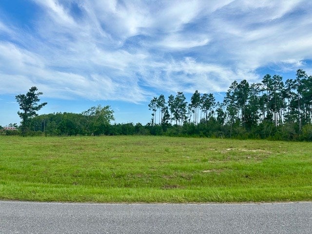 213 Edge Hill Rd, Wewahitchka, FL 32465 photo
