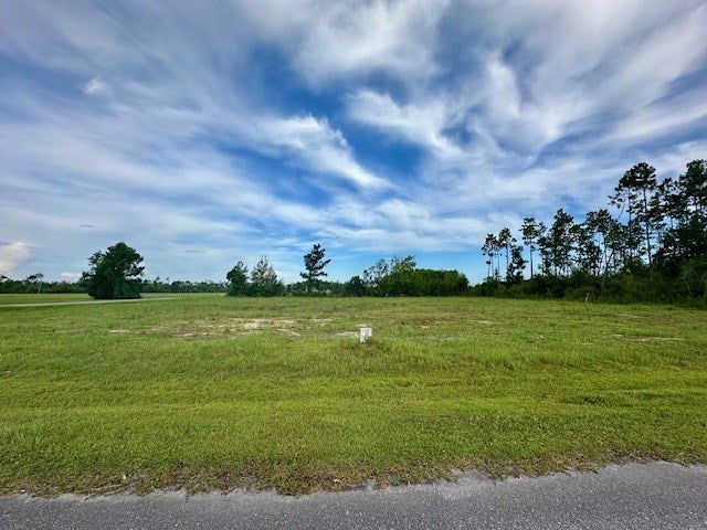 213 Edge Hill Rd, Wewahitchka, FL 32465 photo