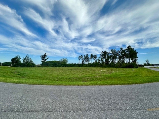 213 Edge Hill Rd, Wewahitchka, FL 32465 photo