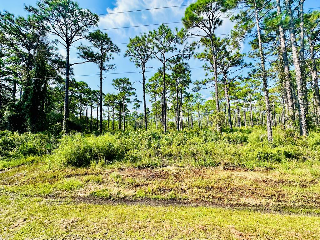247 Twin Lake Rd, Eastpoint, FL 32328