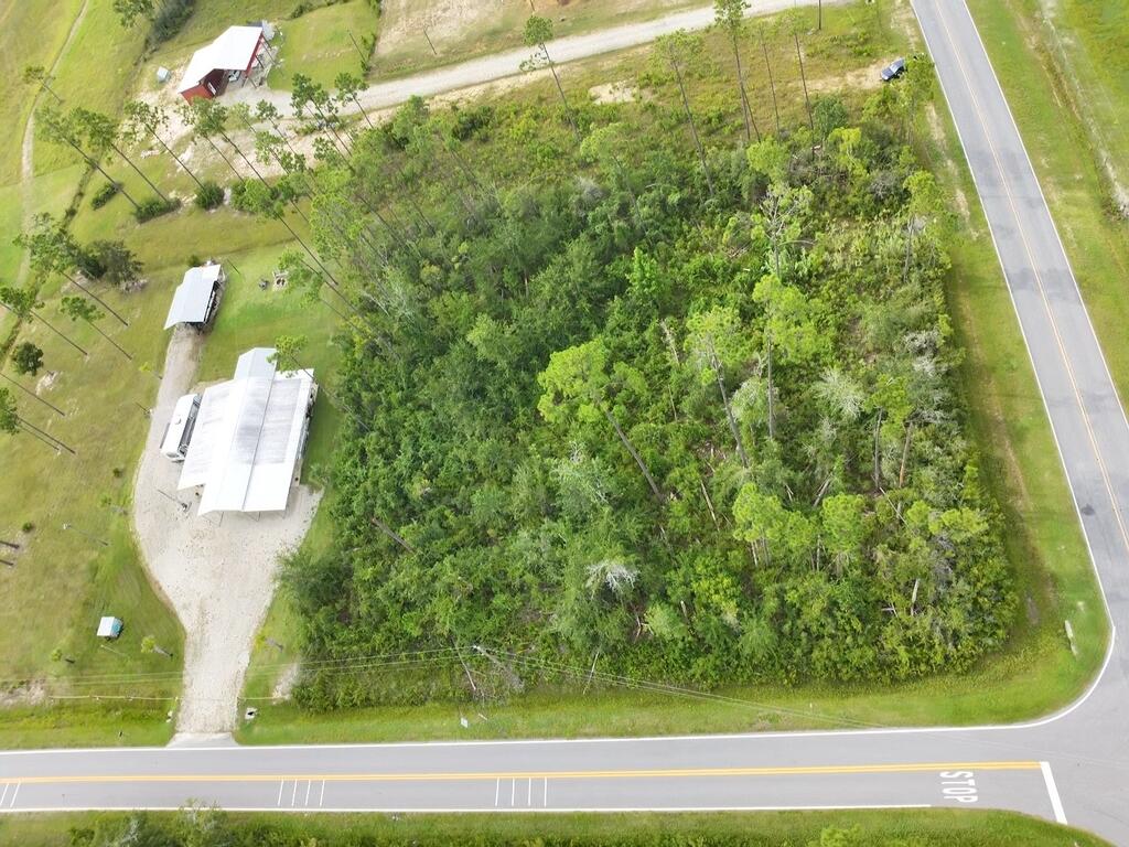 2 Borders Rd #LOT, Wewahitchka, FL 32465 photo
