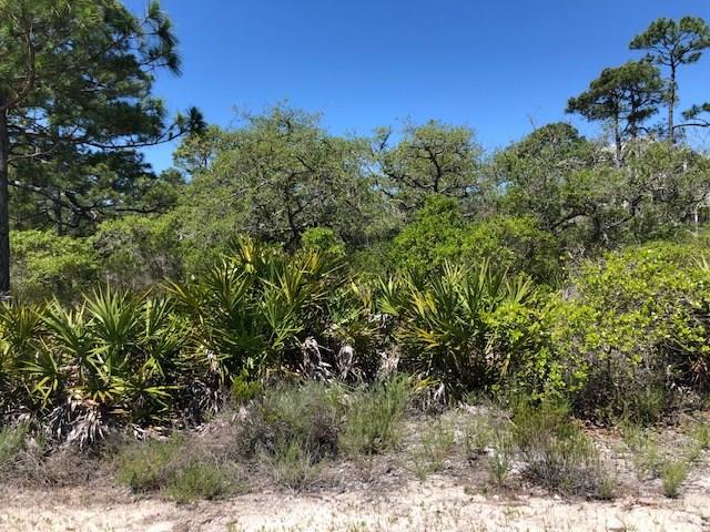 1244 Sea Dune Dr, St. George Island, FL 32328 photo