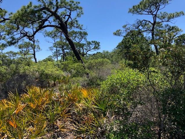 1244 Sea Dune Dr, St. George Island, FL 32328 photo