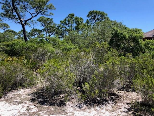 1244 Sea Dune Dr, St. George Island, FL 32328 photo