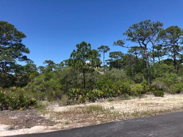 1244 Sea Dune Dr, St. George Island, FL 32328 photo