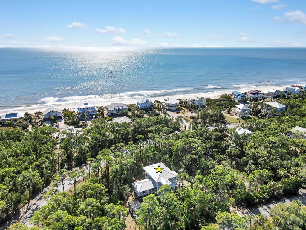 2147 Blue Heron Trl, St. George Island, FL 32328 photo