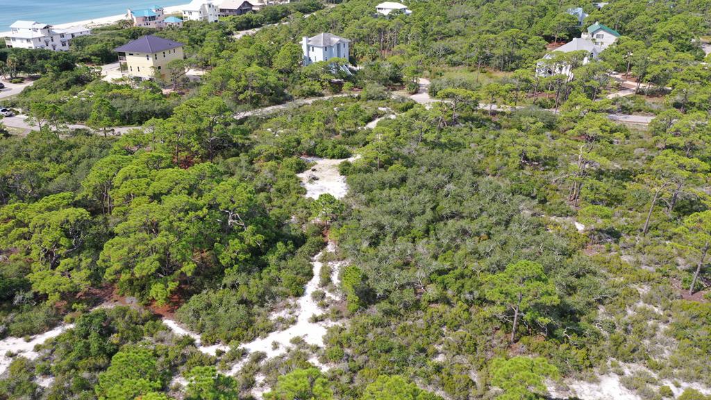 1328 Azalea Dr, St. George Island, FL 32328 photo