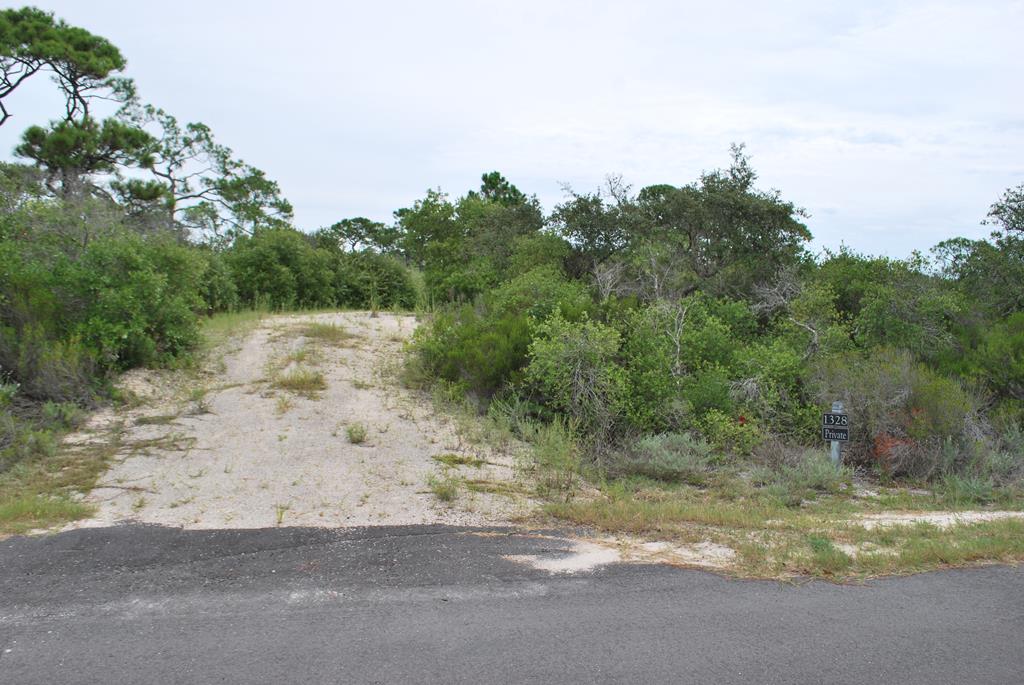 1328 Azalea Dr, St. George Island, FL 32328 photo