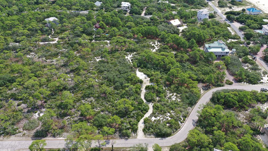 1328 Azalea Dr, St. George Island, FL 32328 photo