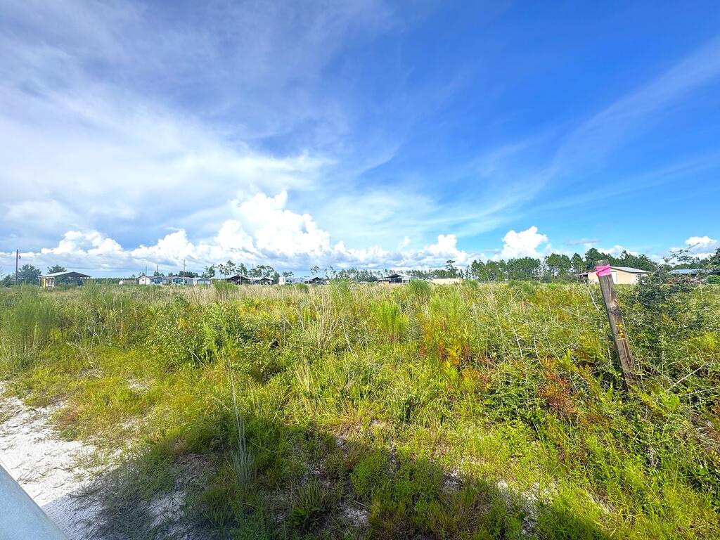 8 Margies Ln #LOT, Wewahitchka, FL 32465 photo
