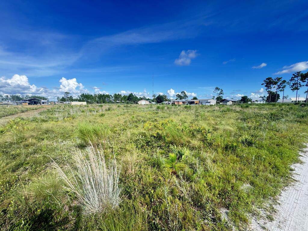 8 Margies Ln #LOT, Wewahitchka, FL 32465 photo