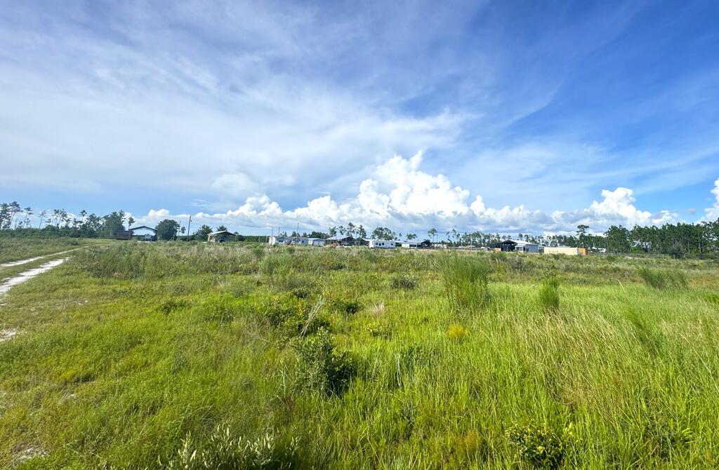 8 Margies Ln, Wewahitchka, FL 32465