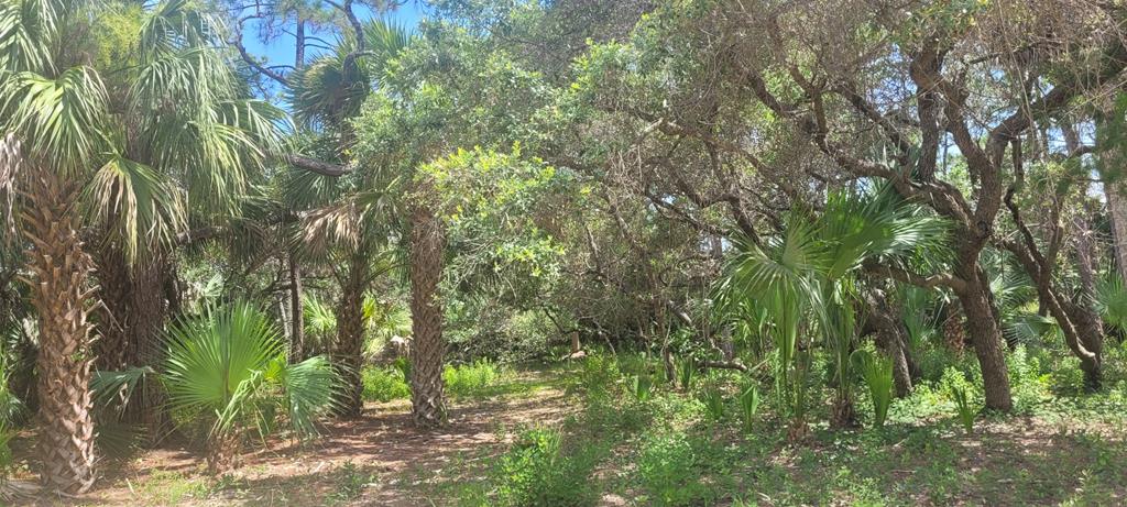 840 Pine Ave, St. George Island, FL 32328