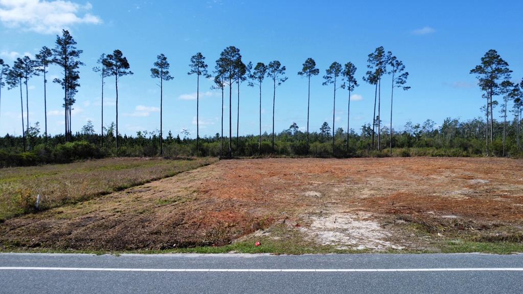 6364 Doc Whitfield Rd, Wewahitchka, FL 32465 photo