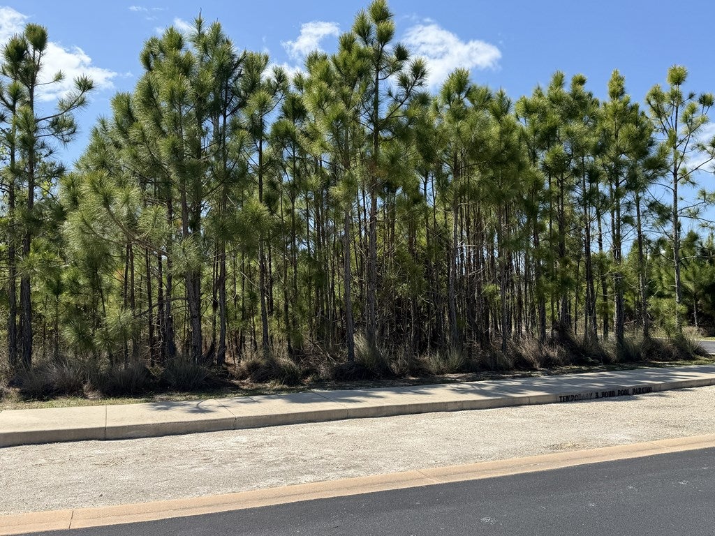 33 N Echo Ln, Port Saint Joe, FL 32456 photo