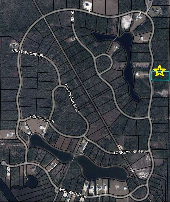 817 Wide Water Cir, Wewahitchka, FL 32465 photo