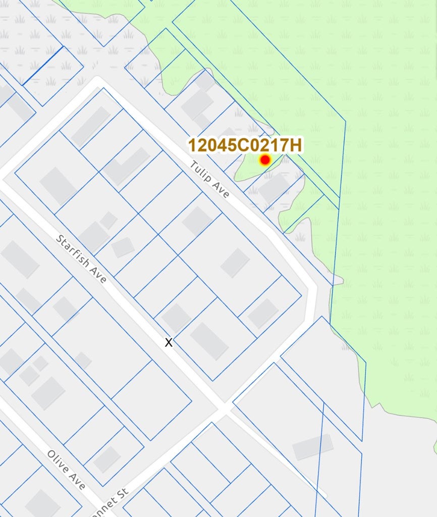 TBD Tulip Ave, Port Saint Joe, FL 32456 photo