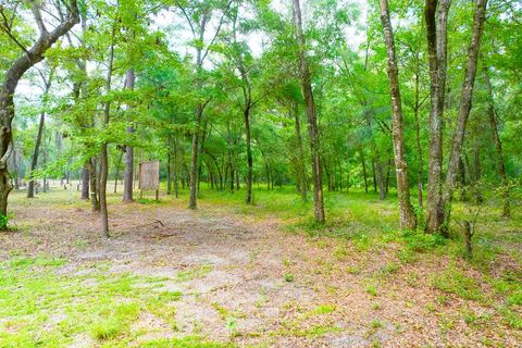  in Crawfordville FL Lot 60 Revell Rd.jpg