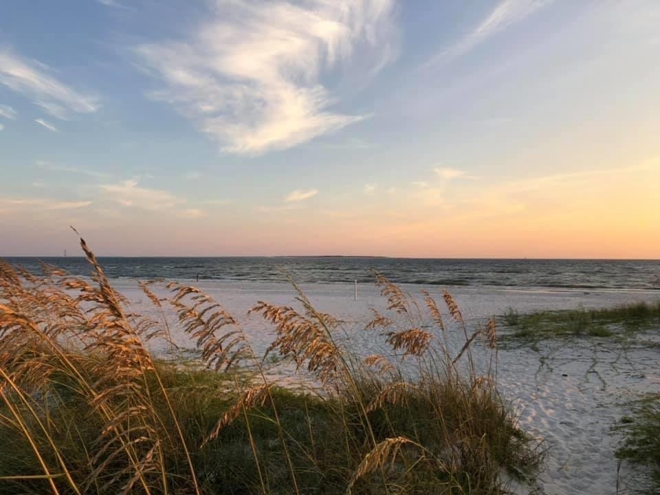 110 Tyler Ter, Port Saint Joe, FL 32456 photo