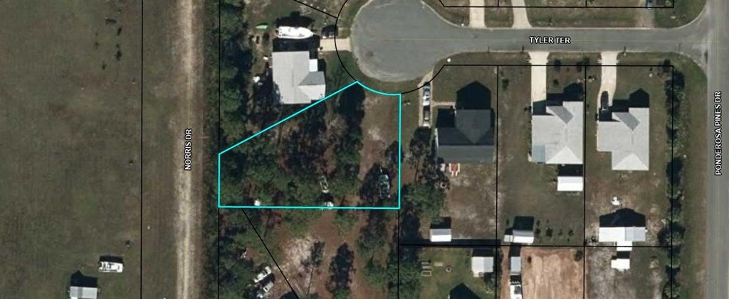 110 Tyler Ter, Port Saint Joe, FL 32456 photo