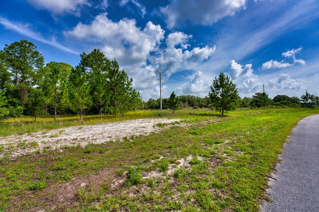 359 Gramercy Plantation Blvd, Eastpoint, FL 32328 photo