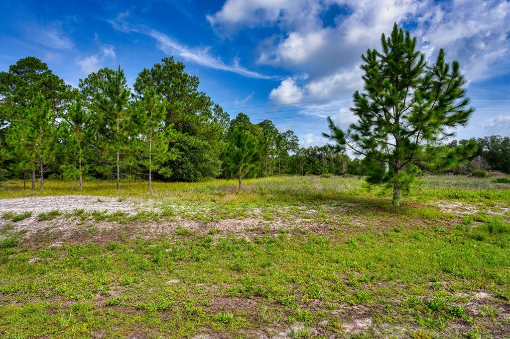 359 Gramercy Plantation Blvd, Eastpoint, FL 32328 photo