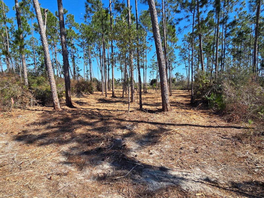 15 Trey's Ln #LOT, Wewahitchka, FL 32465 photo