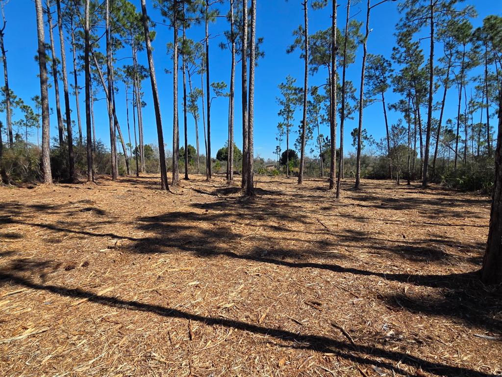 15 Trey's Ln #LOT, Wewahitchka, FL 32465 photo