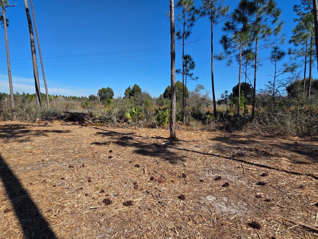 15 Trey's Ln #LOT, Wewahitchka, FL 32465 photo