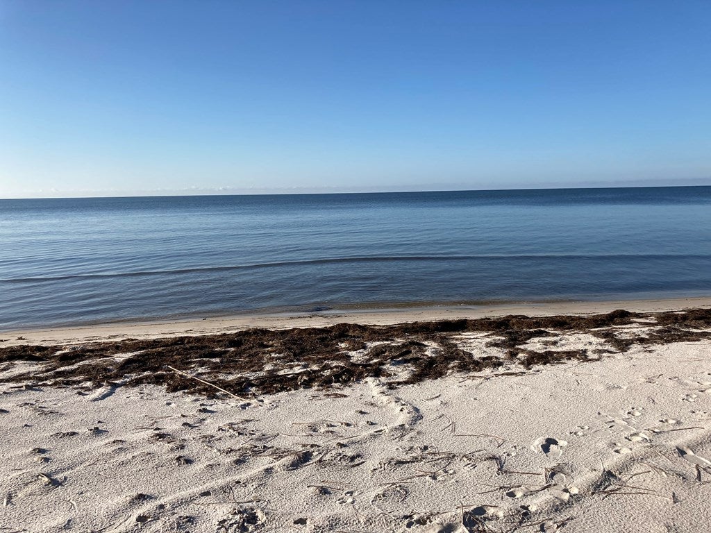 3092 Highway 98 E, Carrabelle, FL 32323 photo