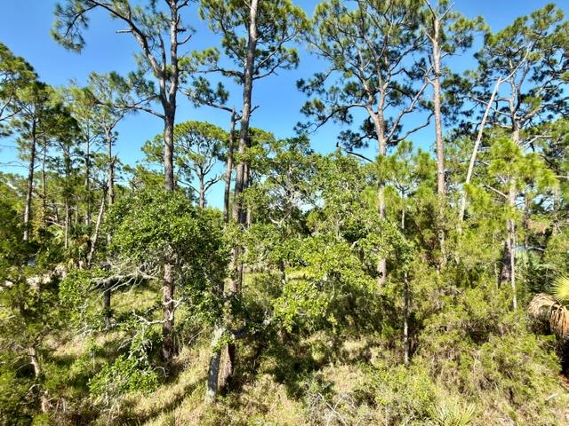 5 Boulevard 78, St. George Island, FL 32328