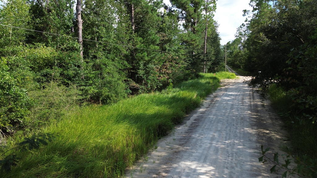 1 Dead Lake Dr #LOT, Wewahitchka, FL 32465 photo