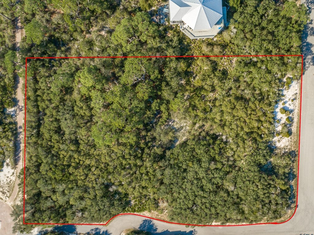 1436 Elm Ct, St. George Island, FL 32328 photo