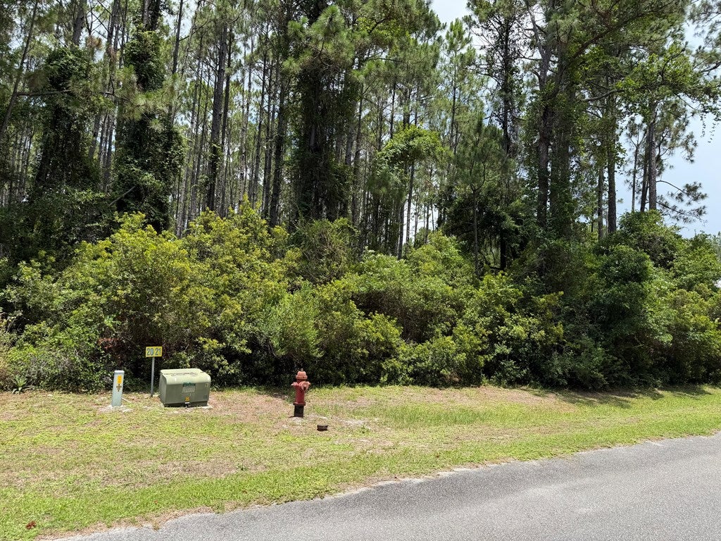 241 Boncycle Landing Dr, Eastpoint, FL 32328 photo