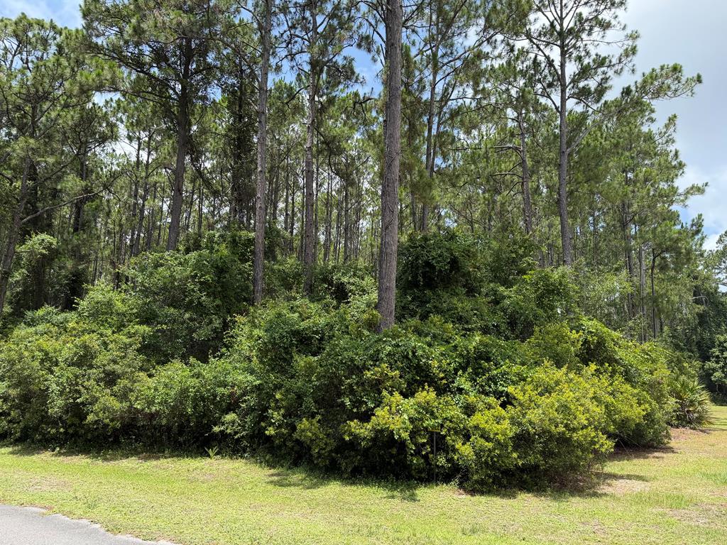 241 Boncycle Landing Dr, Eastpoint, FL 32328