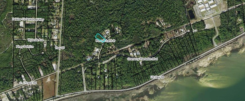 241 Boncycle Landing Dr, Eastpoint, FL 32328 photo