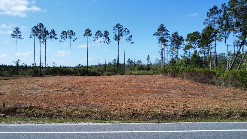 16 Doc Whitfield Rd #LOT, Wewahitchka, FL 32465 photo