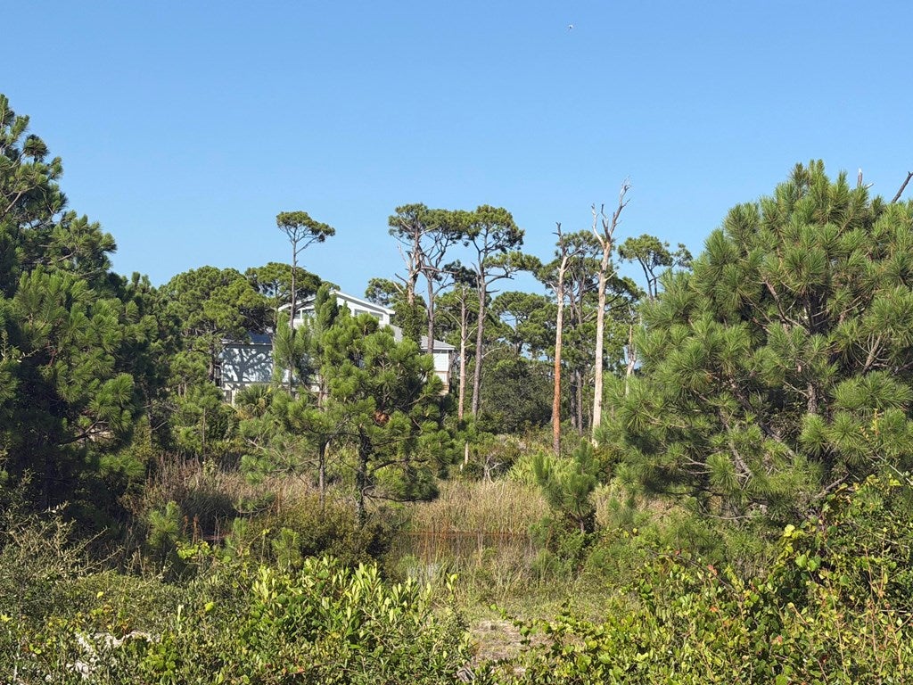 TBD Cape San Blas Rd, Cape San Blas, FL 32456 photo