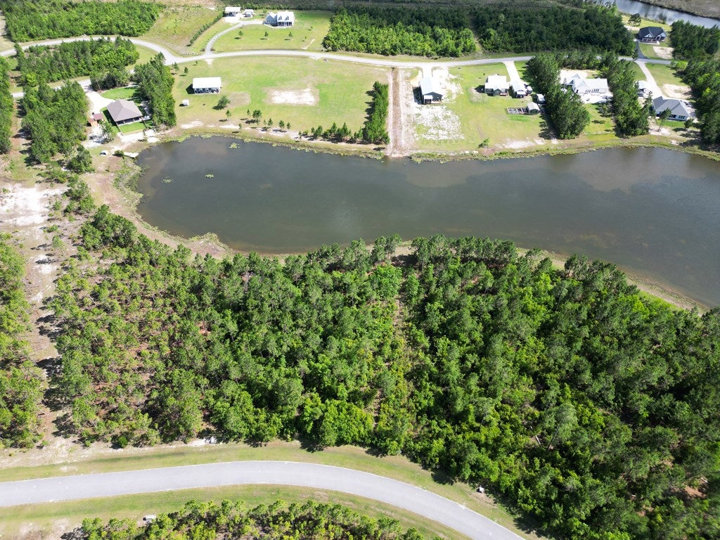 110 Torrey Pine Trl, Wewahitchka, FL 32465 photo