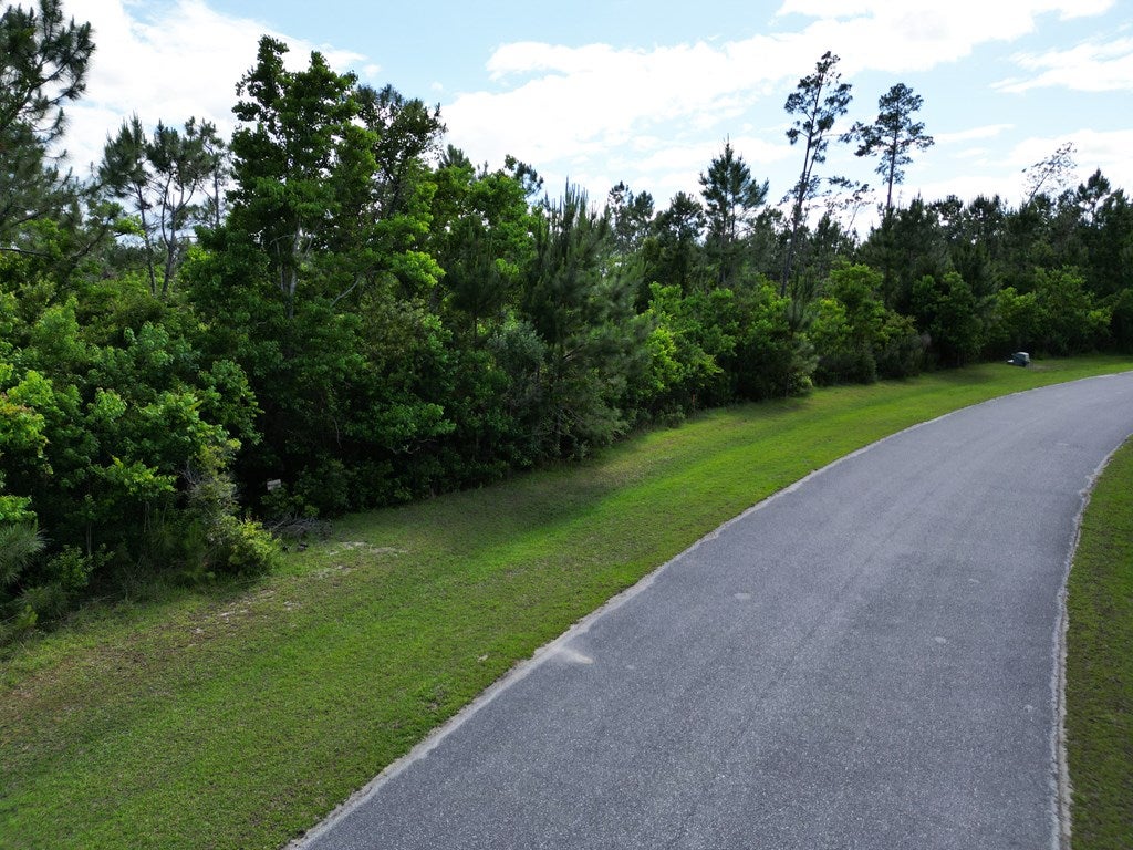 110 Torrey Pine Trl, Wewahitchka, FL 32465 photo