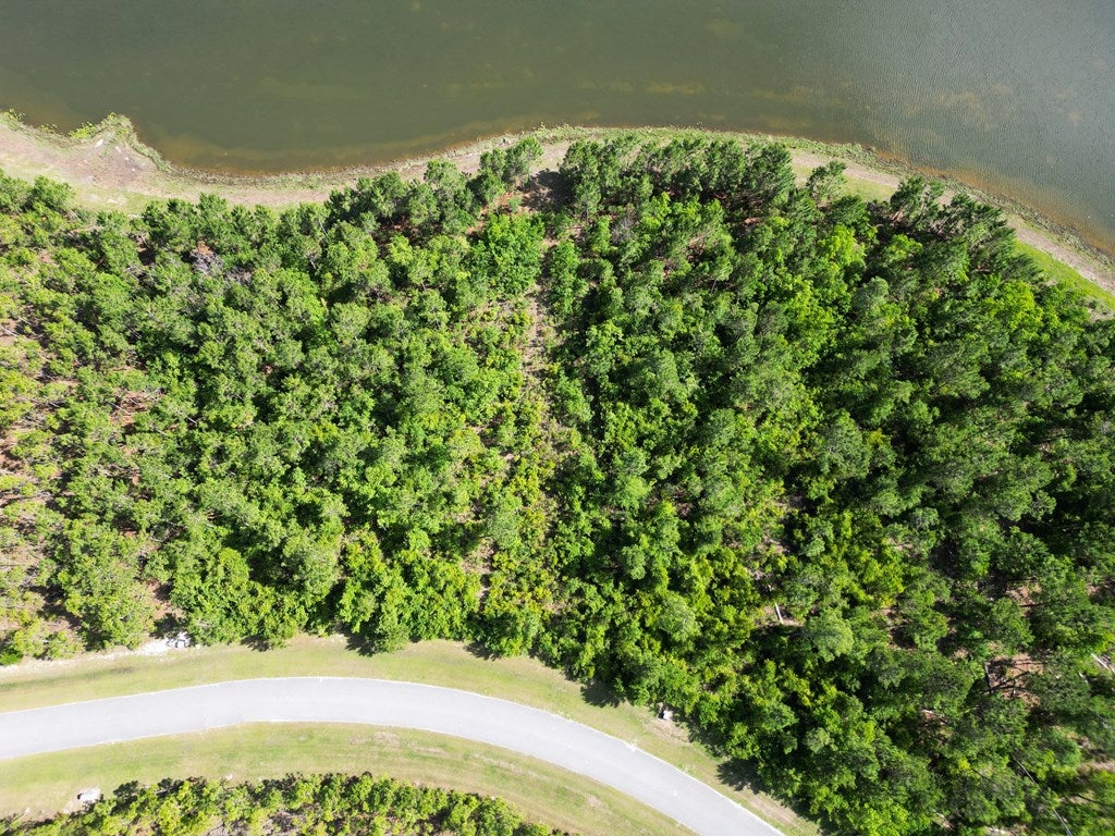 110 Torrey Pine Trl, Wewahitchka, FL 32465 photo