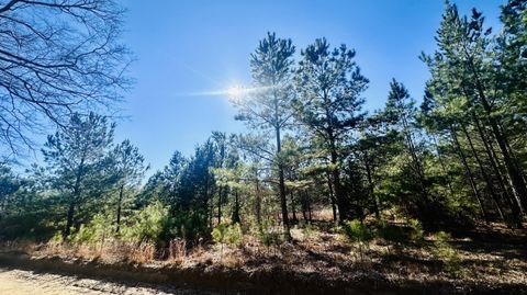 Unimproved Land in Barnwell SC 0 Loon Road.jpg