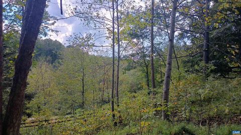 Single Family Residence in Roseland VA 1631 Cow Hollow Rd 59.jpg