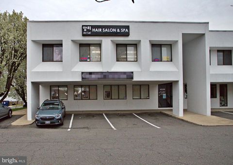 Mixed Use in Annandale VA 4538 John Marr DRIVE #13.jpg