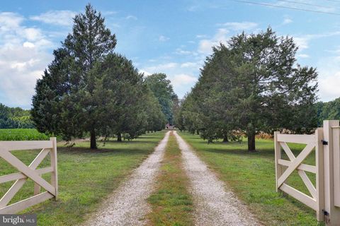 Single Family Residence in Tappahannock VA 2459 Dunbrooke ROAD 4.jpg