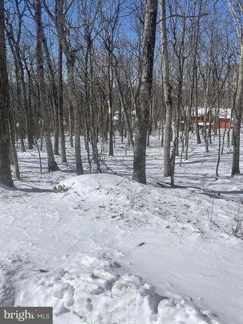  in Wintergreen VA 80 Beech DRIVE.jpg