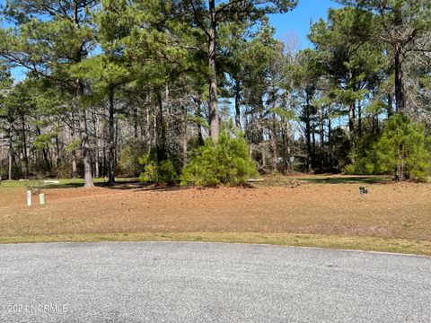  in Aydlett NC 117 Cooper Landing Drive.jpg