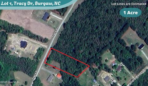  in Burgaw NC Lot 1 Tracy Drive.jpg