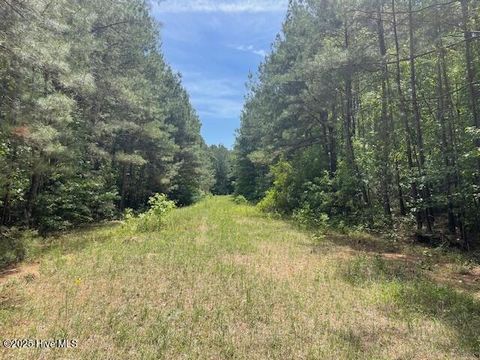  in Elizabethtown NC 62 Live Oak Drive.jpg