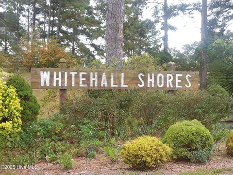 Single Family Residence in Camden NC 305 Whitehall Road 39.jpg